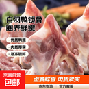 冷冻鸭锁骨鸭叉骨冷冻锁骨鸭骨鸭架油炸卤肉食材生鸭锁骨 4斤鸭锁骨