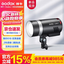 神牛（Godox）AD300Pro II外拍闪光灯TTL高速同步锂电池大功率户外人像婚礼口袋灯手持摄影灯 官方标配