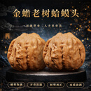 逍遥游文玩核桃蛤蟆头核桃文玩手把件礼物把玩文玩核桃精品对41-42mm