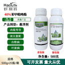 好利特贝碧佳40%苯甲吡唑酯葡萄果树蔬菜白粉病炭疽病锈病农药杀菌剂