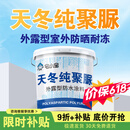 宅小宝天冬纯聚脲防水涂料屋顶屋面楼顶补漏专用防水胶室外抗冻防晒材料 [灰色]20kg/施工1遍=40平方