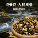 宠翰鱼缸溪流石底砂造景沙子水草装饰雨林铺底石头天然石