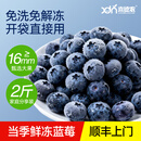 喜德农速冻蓝莓东北北陆蓝莓净重2斤/包 速冻水果冷冻莓果奶茶商用原料 2斤x1包速冻蓝莓