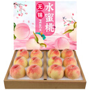 硕醴纪正宗无锡水蜜桃 JD顺丰 时令水果礼盒端午节送礼 （热销款）甄选12个礼盒净4-5斤