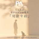 宠筑宠物家居 猫狗别墅猫柜定制 实木猫爬架上墙猫墙家用尾款专拍