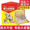 加厚超强力 老鼠贴强力粘鼠板家用一窝端灭鼠捕鼠神器胶捉大老鼠 15张装 赠1张 共16张【超强力】