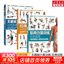 【3册】肌肉力量训练图谱+拉伸训练彩色图谱+无器械力量训练彩色图谱 运动健身健美训练书籍  新华书店正版包邮 【3册】拉伸训练+肌肉力量训练+无器械力量训练