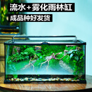 苔藓微景观生态雨林造景玻璃缸办公室桌面盆栽守宫角蛙树蛙饲养盒 溪流之境（有流水雾气）
