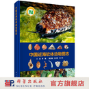 [按需印刷]中国近海软体动物图志 科学出版社