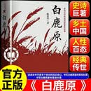 【官方正版】白鹿原（陈忠实茅奖作品樊登推荐）白鹿原正版无删减完整版陈忠实未删减版 白鹿原（新版）