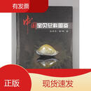 中国宝贝总科图鉴海洋出版社张素萍著2011-12