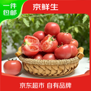 京鲜生 山东普罗旺斯番茄净重4.5斤中大果125g+ 沙瓤水果西红柿源头直发