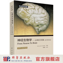 神经生物学：从神经元到脑（原书第5版） [From Neuron to Brain] 科学出版社