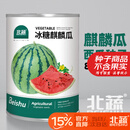 北蔬西瓜种子种苗麒麟8424甜脆盆栽西瓜籽 冰糖麒麟瓜种子约800粒桶装