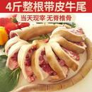 推荐牛尾巴整根带皮牛尾骨现杀牛尾切段散养黄牛尾骨商 10斤