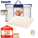 邓禄普（Dunlopillo）长者枕 荷兰进口特拉雷Talalay天然乳胶枕 物理发泡工艺 