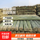 小竹竿菜园搭架豆角黄瓜竹子支架蔬菜爬藤竹杆户外篱笆栅栏彩旗杆 2-2.5厘米粗2.5米长 50根【原生耐用】