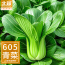 北蔬 小青菜种子苗上海青梗菜油菜种籽 速生605上海青种子50g约2万粒