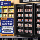 德派龙雪糕冰淇淋大容量可定制双温冷冻冰柜双门-22~-18℃急冻1200*660*2030变频款【节能40%】