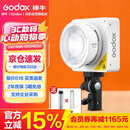神牛（Godox）摄影灯双色温可调便携夜拍灯人像补光灯户外控制室电影视频摄像灯 ML100Bi L【官方标配】