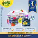怡颗莓Driscoll's 云南蓝莓Jumbo大果18mm+ 6盒125g/盒新鲜水果礼盒