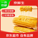 京鲜生 东北黄玉米260g*10棒 真空包装黏玉米棒粘玉米 源头直发