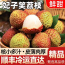 昊维仁禾【顺丰冷链】速冻妃子笑荔枝海南当季水果净重2.8斤/4.5斤整箱 4.5斤（单果18克起）
