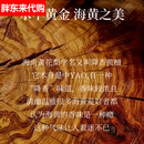 代购同款正宗真品老料海南木手串男士高端文玩虎皮纹海黄官 【木中黄金】 精选百木级海南