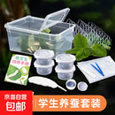 蚕宝宝蚕卵学生养蚕套装养蚕专用盒饲养盒爬宠饲养箱科学实验套装 【冲量套装】养蚕套装|工具全齐