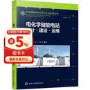 电化学储能电站：设计·建设·运维