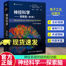 正版包邮 神经科学 探索脑 第4四版 中文版 9787121465109 电子工业出版社 C书籍