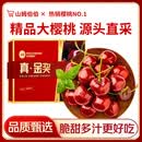 山姆伯伯 樱桃【JD-多地次日达】国产山东大樱桃车厘子水果礼盒端午礼盒 3斤(净重) 【超值-80%选】爽吃礼盒 A+特级果【清甜爆汁】22-24mm