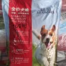 靓贝狗粮吃货街狗粮成犬幼犬9斤10斤18kg20kg牛肉味 1袋 9kg 靓贝吃货街幼犬