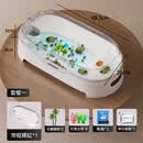 最萌乌龟缸新款懒人家养巴西龟专用饲养缸造景生态带盖防逃逸桌面鱼缸