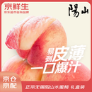 京鲜生 正宗无锡阳山水蜜桃 12粒礼盒装 单果4-5两 时令应季水果
