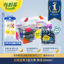 怡颗莓Driscoll's 云南蓝莓Jumbo大果18mm+ 6盒125g/盒新鲜水果礼盒