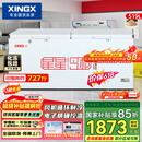星星（XINGX）519L商用冰柜 冷藏冷冻冰箱中梁除霜冷冻柜 单温大容积卧式-40℃冷柜 BD/BC-519E以旧换新 价保618