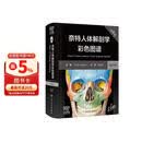 奈特人体解剖学彩色图谱（第8版）英汉对照 国际畅销解剖学图谱 临床医学基础医学必读