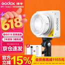 神牛（Godox）ML100Bi摄影灯双色温可调便携夜拍灯人像补光灯户外控制室电影视频摄像灯  ML100Bi【官方标配】