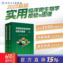 现货 实用临床微生物学检验与图谱 上下册 陈东科病原微生物技术方法病原体流行病学分析病毒细菌真菌寄生虫鉴定药敏试验医院感染监测百科