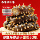 参村长大连鲜海参/到手30根/鲜蒸海参/免泡发不挂冰/礼盒装/顺丰冷链 买20根送10根 到手30根