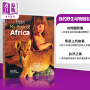 我的野生动物朋友英文原版Tippi: My book of Africa Tippi Degre