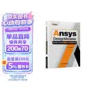 Ansys DesignModeler参数化特征建模与仿真指南