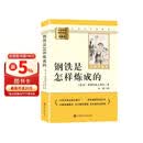 钢铁是怎样炼成的 升级版 初中七年级下册必读 适用新版人教教材配套阅读 名师推荐考点精炼 初中七年级下册必读课外阅读书经典文学名著指定读物 无障碍阅读青少年文学