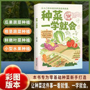 图解版 种菜一学就会 蔬菜栽培技术 在家种出健康 绿色好蔬菜 种菜宝典 蔬菜种植技术指导书 种菜一学就会