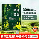包邮 新精油图鉴 温佑君 精油爱好者工具书 中信出版社图书