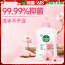 滴露（Dettol）洗手液滋润250g 儿童洗手液抑菌消毒宝宝 水润补充装试用