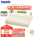 邓禄普（Dunlopillo）斯琳拉邂逅波浪枕荷兰进口特拉雷Talalay天然乳胶枕物理发泡工艺 