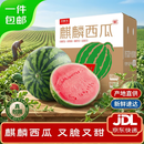 京鲜生 无籽麒麟瓜西瓜 1粒装 净重5-7斤 生鲜水果源头直发包邮