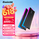 佰维（BIWIN）32G(16G×2)套装 DDR5 6000频率台式机内存条 时空行者DW100 RGB灯条(C28)黑色AI PC电脑存储配件